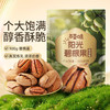 【百草味】碧根果 100g(奶油味)（入仓专用） 商品缩略图0