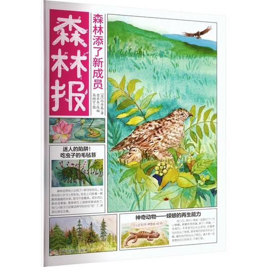 森林添了新成员 商品图0