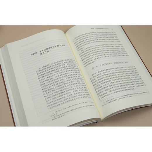 个人信息刑法双维保护模式的基本构造  童云峰 著 法律出版社 商品图3