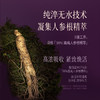 京润珍珠人参蜜养礼盒 9道工序萃取96%人参精华 专利技术重塑肌肤润泽 自用送礼 洗面奶/爽肤水/精华液/面霜 京润礼盒4件套 商品缩略图4