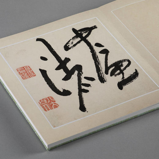 画苑掇英·八大山人花鸟册两种 商品图2