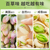 【百草味】开心果100g（袋装） 商品缩略图3