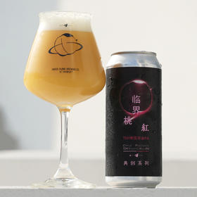 纸飞机 临界·桃红 473ml