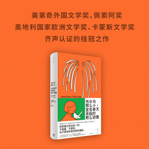 布谷鸟那么小,宣告春天来临时那么骄傲 商品图1