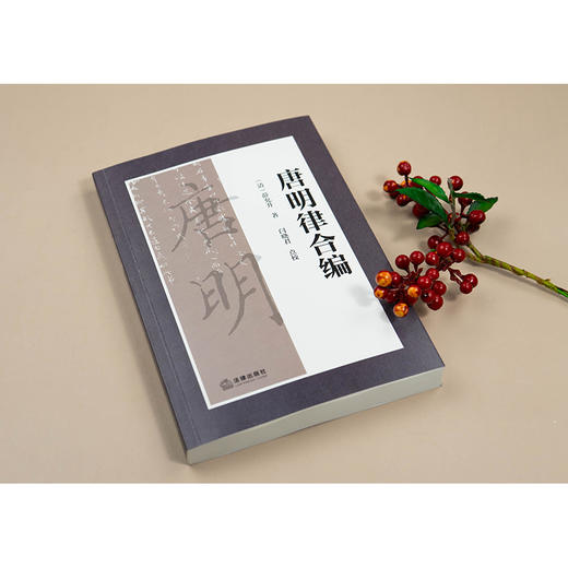 唐明律合编 商品图2