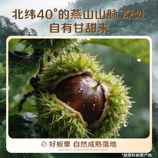 【百草味】熟制板栗仁40g袋装 商品图3