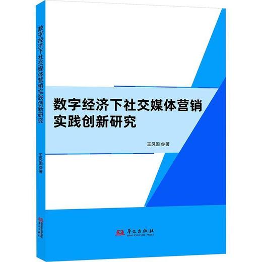 数字经济下社交媒体营销实践创新研究 商品图0