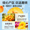 【百草味】黄桃干300g 商品缩略图1