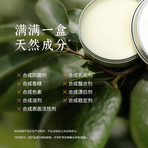 有机地球牛油果身体霜100ml 商品图2