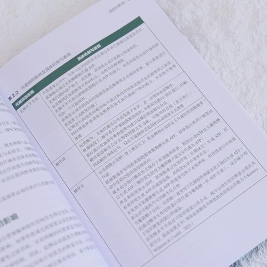 科学恢复:从疲劳到巅峰的训练效果优化指南 商品图4