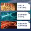 【法国原装进口】BIORÊVE梦天然 睡眠素软糖 天然温和 安全不依赖 60粒/瓶 商品缩略图3