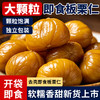 【粒粒饱满 清甜不腻】律小卡 即食板栗仁 去壳免剥 开袋即食 60g/袋 商品缩略图6