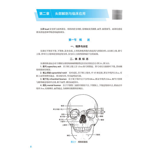 麻醉解剖学 第5五版 马坚妹 邵建林 主编 本科麻醉 配增值 十五五规划教材 全国高等学校教材 供麻醉学专业用 人民卫生出版社 商品图4