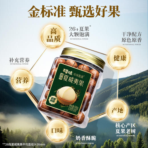 【百草味】本味甄果系列-原味夏威夷果500g（罐装） 商品图3