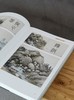 南京博物馆珍藏大系04：《明代吴门绘画》，大8开，精装一册，南京博物院编，江苏凤凰美术出版社2013年一版一印，269页，定价1680，售价588元。 商品缩略图7