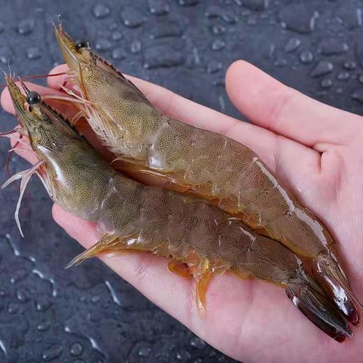 【肉质Q弹 鲜甜紧实】青岛大虾 个头硕大饱满 虾肉鲜甜脆嫩 商品图2