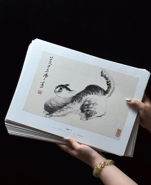 【重磅】《八大山人花鸟册页》+《八大山人山水册页》，8开，散叶装，江西美术出版社编，江西美术出版社2026年8月一版一印，分别定价288、268元，分别售价：178、166。 商品图5