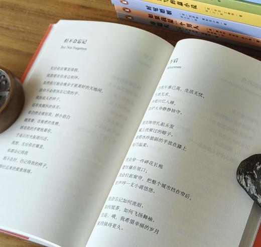【特惠】《企鹅女性经典》第一辑，小32开口袋本，全8册，平装， 萧红 / [美] 卡森·麦卡勒斯 / [英国] 弗吉尼亚·伍尔芙 / 多萝茜·帕克 / 夏洛特·帕金斯·吉尔曼 / [英] 乔治·艾略特 商品图8