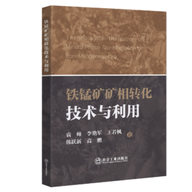 铁锰矿矿相转化技术与利用（ 矿业工程）