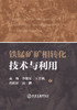 铁锰矿矿相转化技术与利用（ 矿业工程） 商品缩略图1