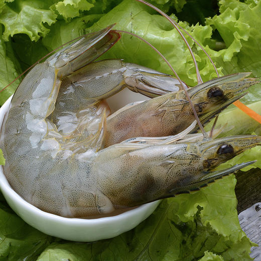 【肉质Q弹 鲜甜紧实】青岛大虾 个头硕大饱满 虾肉鲜甜脆嫩 商品图6