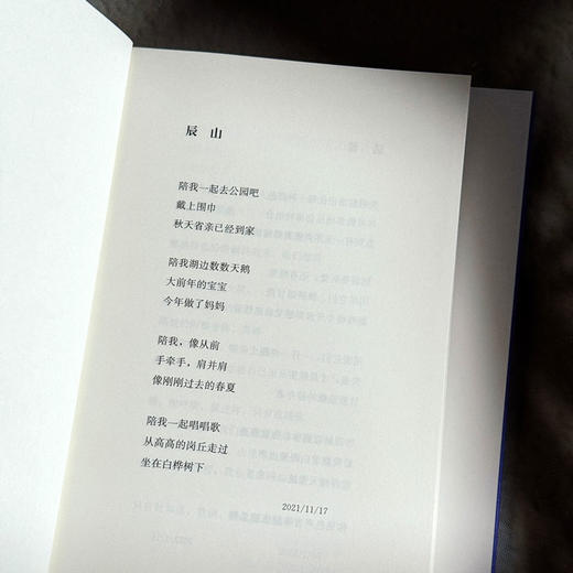 虎头兰 涌泉 现代诗集 精装 六点图书 商品图9