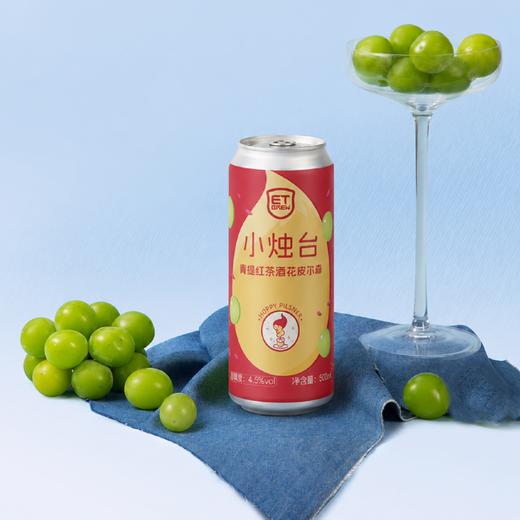 E.T 小烛台 500ml 商品图0