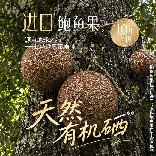 【百草味】低GI全坚果705g（30日装）-富硒款 商品图2