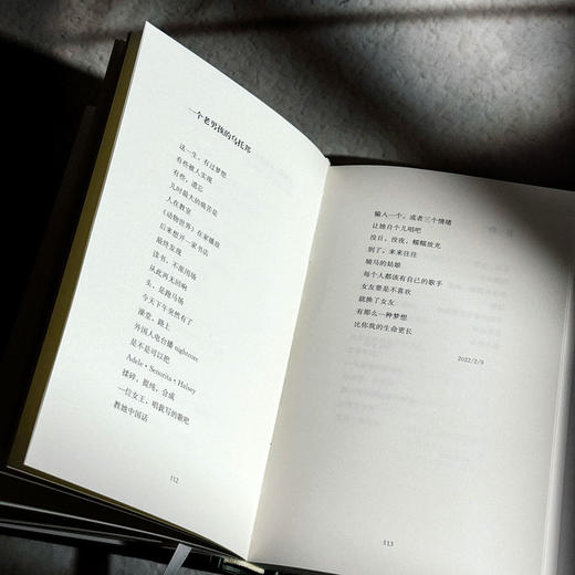 虎头兰 涌泉 现代诗集 精装 六点图书 商品图11
