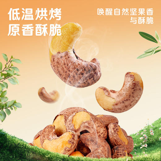 【百草味】紫皮腰果405g大颗粒罐装健康休闲零食带皮腰果 商品图4