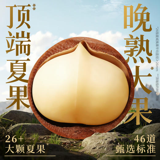【百草味】本味甄果系列-原味夏威夷果500g（罐装） 商品图2
