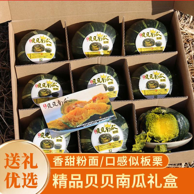【送礼必备】密农人家  精品正宗贝贝南瓜礼盒  进口种源送礼优选