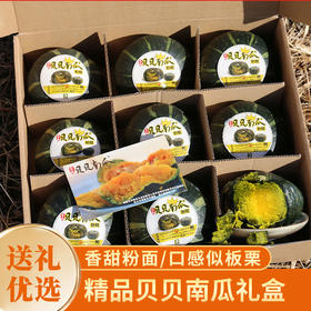 【送礼必备】密农人家  精品正宗贝贝南瓜礼盒  进口种源送礼优选