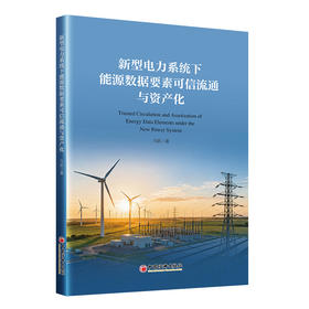 【官方旗舰店】新型电力系统下能源数据要素可信流通与资产化 聚焦隐私计算赋能数据安全流通，融合电网实战案例 