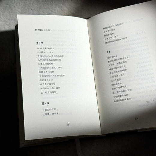 虎头兰 涌泉 现代诗集 精装 六点图书 商品图12