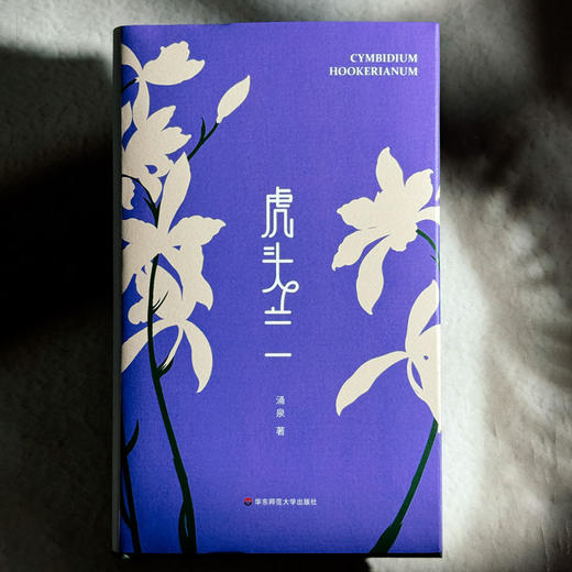虎头兰 涌泉 现代诗集 精装 六点图书 商品图1