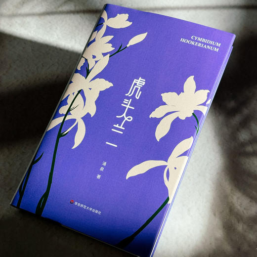 虎头兰 涌泉 现代诗集 精装 六点图书 商品图5