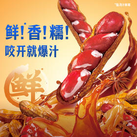 【百草味】爆汁卤花生（五香味）228g