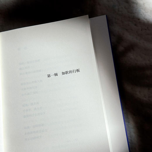 虎头兰 涌泉 现代诗集 精装 六点图书 商品图8