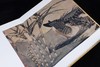 【重磅推荐】《宋画全集》，4开，精装，23册，宋画全集编委会编著，浙江大学出版社出版，定价138000，售价：57800元。 商品缩略图2