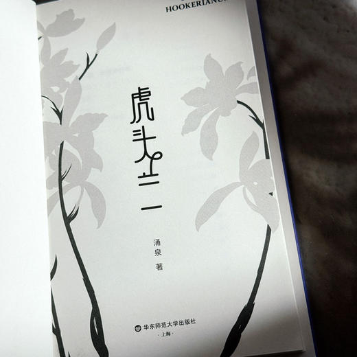 虎头兰 涌泉 现代诗集 精装 六点图书 商品图6