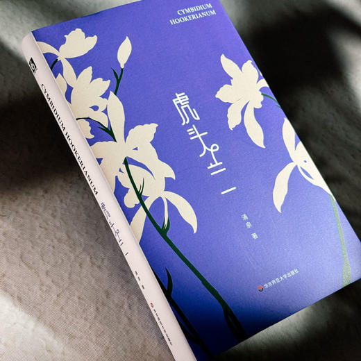 虎头兰 涌泉 现代诗集 精装 六点图书 商品图4