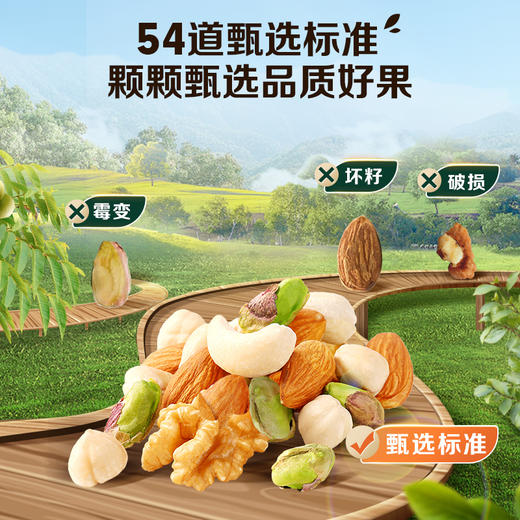 【百草味】本味甄果系列-混合纯坚果400g（罐装）-DY 商品图2