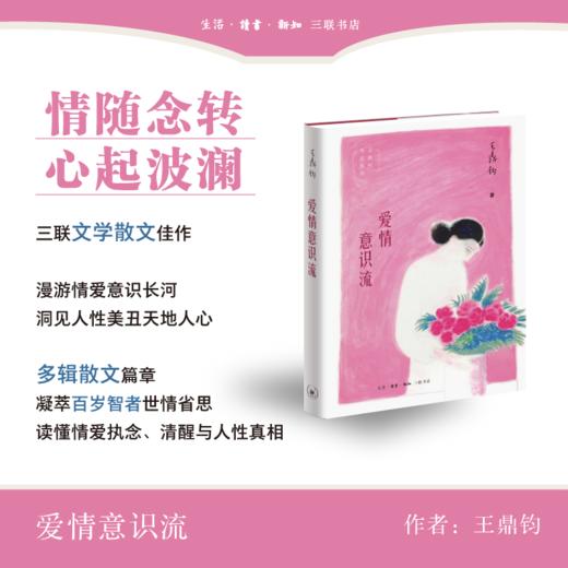 爱情意识流 商品图0