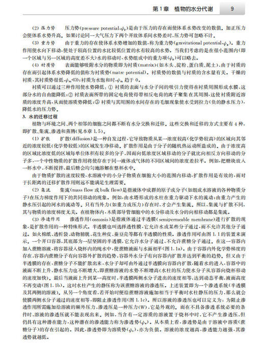 植物生理学（第四版）/王宝山 商品图12