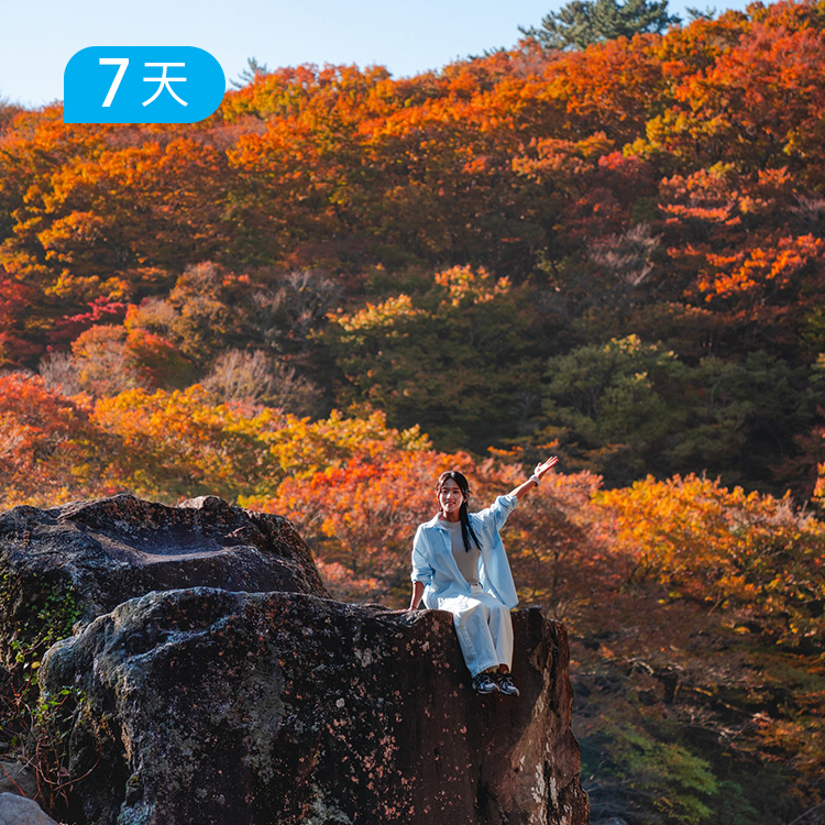 金秋济州岛丨120公里登山徒步大会 韩国之巅汉拿山+偶来小径百公里 领取双证书 赠价值699多特背包 7日