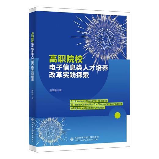 高职院校电子信息类人才培养改革实践探索 商品图0