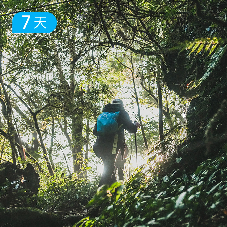高黎贡100公里徒步|穿越五大原始森林 徒步云南小众秘境 重走中国远征军之路 7日