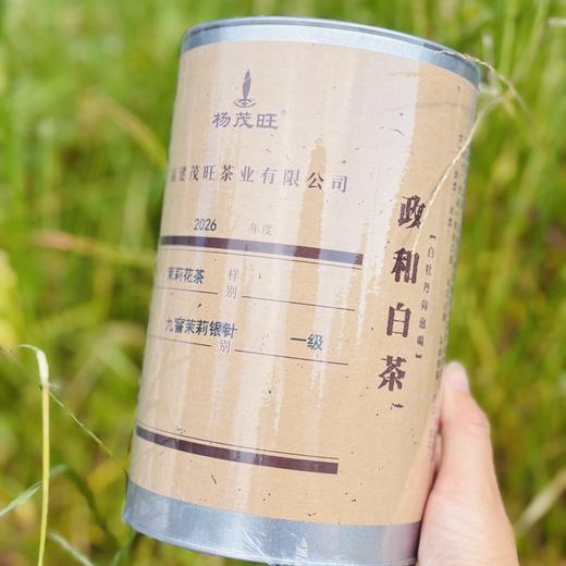 【现货】2026夏花季：茉莉银针100g 白毫银针 伏天茉莉花七次窨制 （三联生活周刊出品）新增:行走直播间-九窨茉莉银针125g简罐装 商品图5