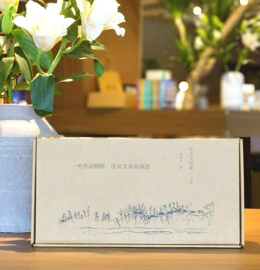 【重磅推荐】《沈从文别集》，精装，32开，20册，沈从文著，中信出版社2022年版，印次不详，定价1380，售价：428元。 商品图1
